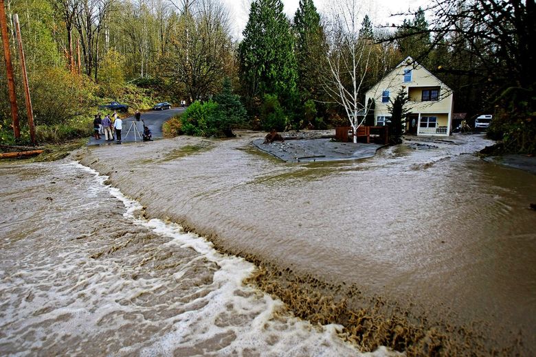 Flooded street near a house and trees.