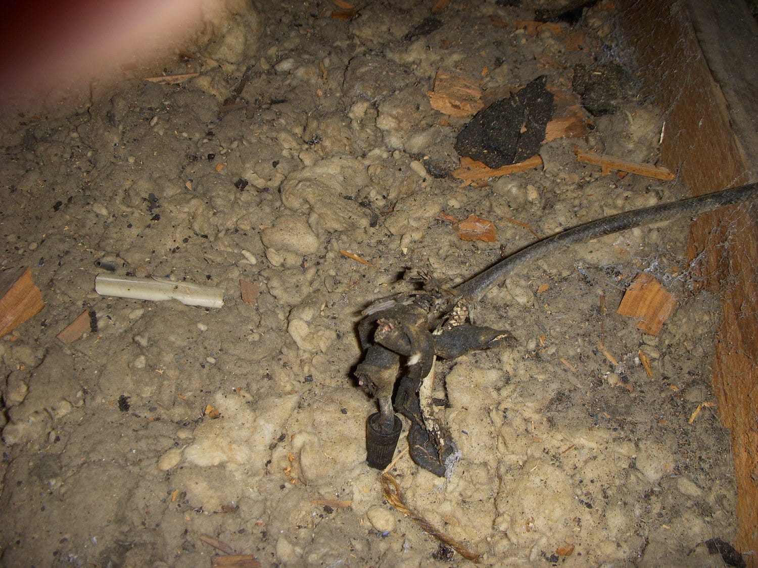 Damaged electrical wire on dusty attic floor.