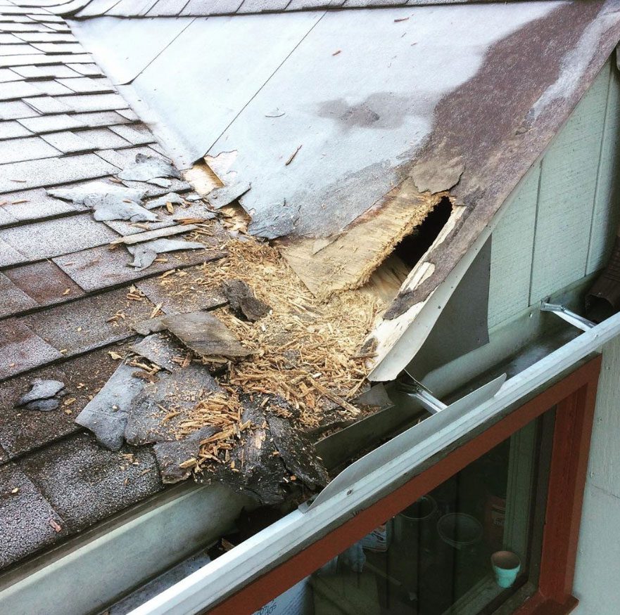 Damaged roof with hole and exposed wood.